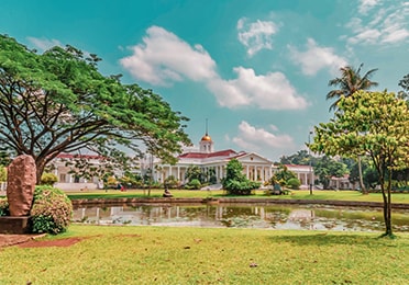 Bogor Botanical Garden: Old, Gnarled Trees