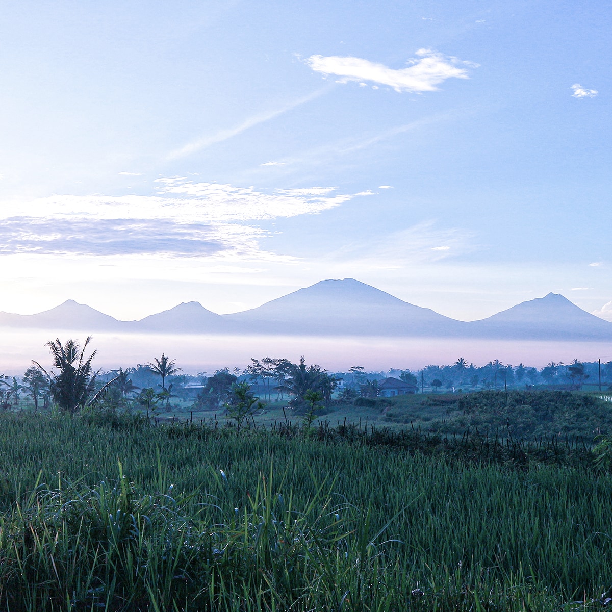 Magelang Regency: Exploring Central Java's Charms