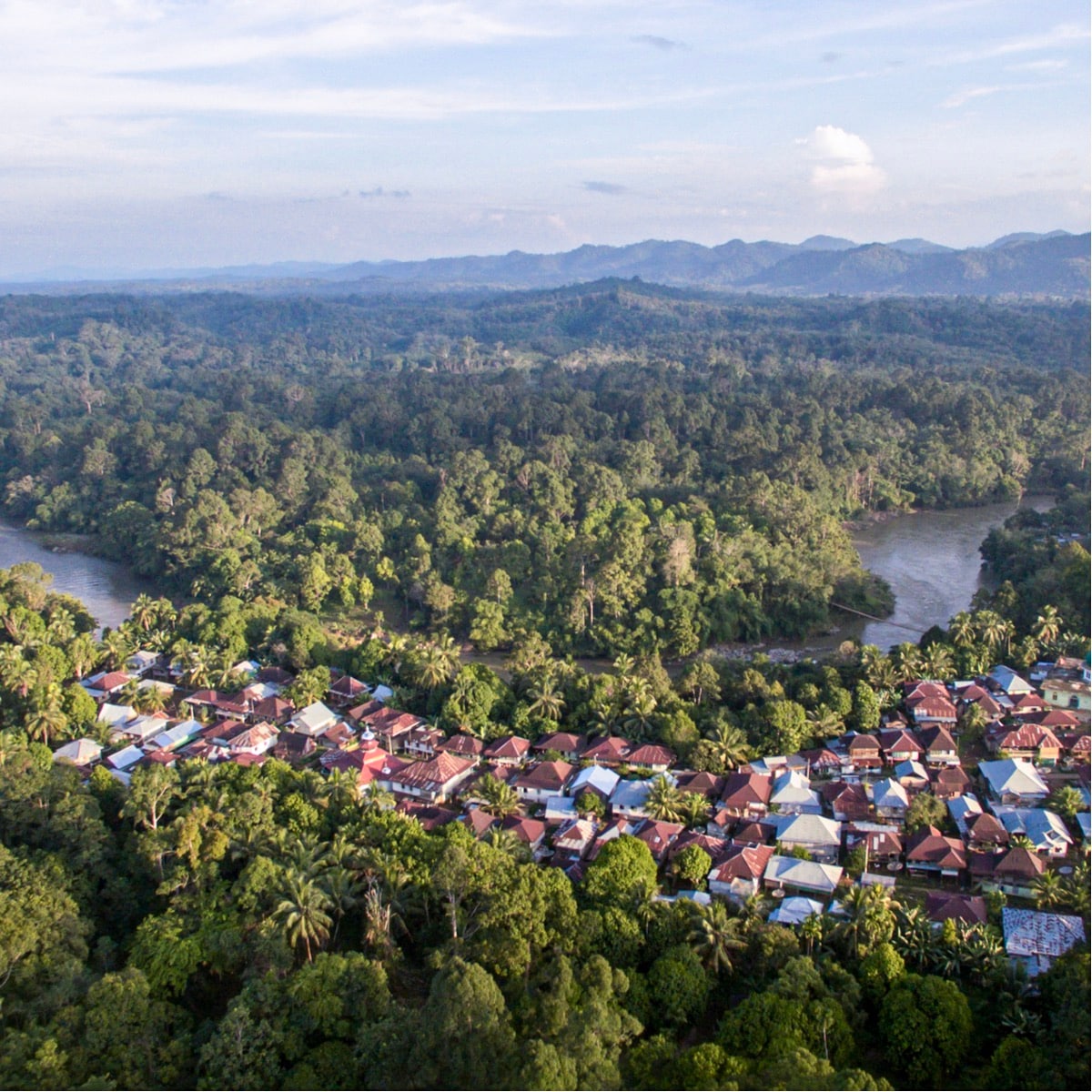 Sembilang National Park: Sumatra's Wildlife Sanctuary