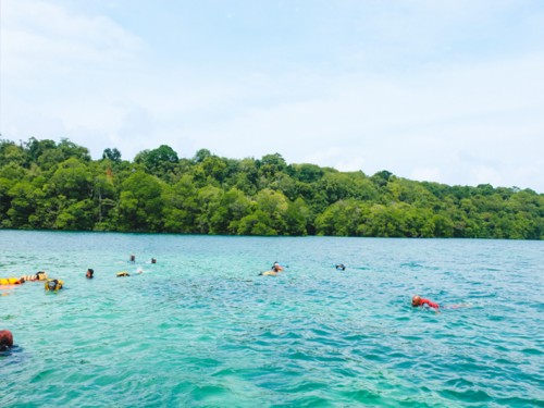 Kakaban Island: Come Swim among Stingless Jellyfish