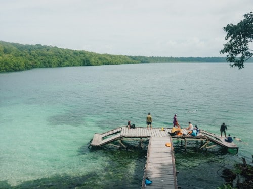 卡卡班岛：与无毒水母游泳