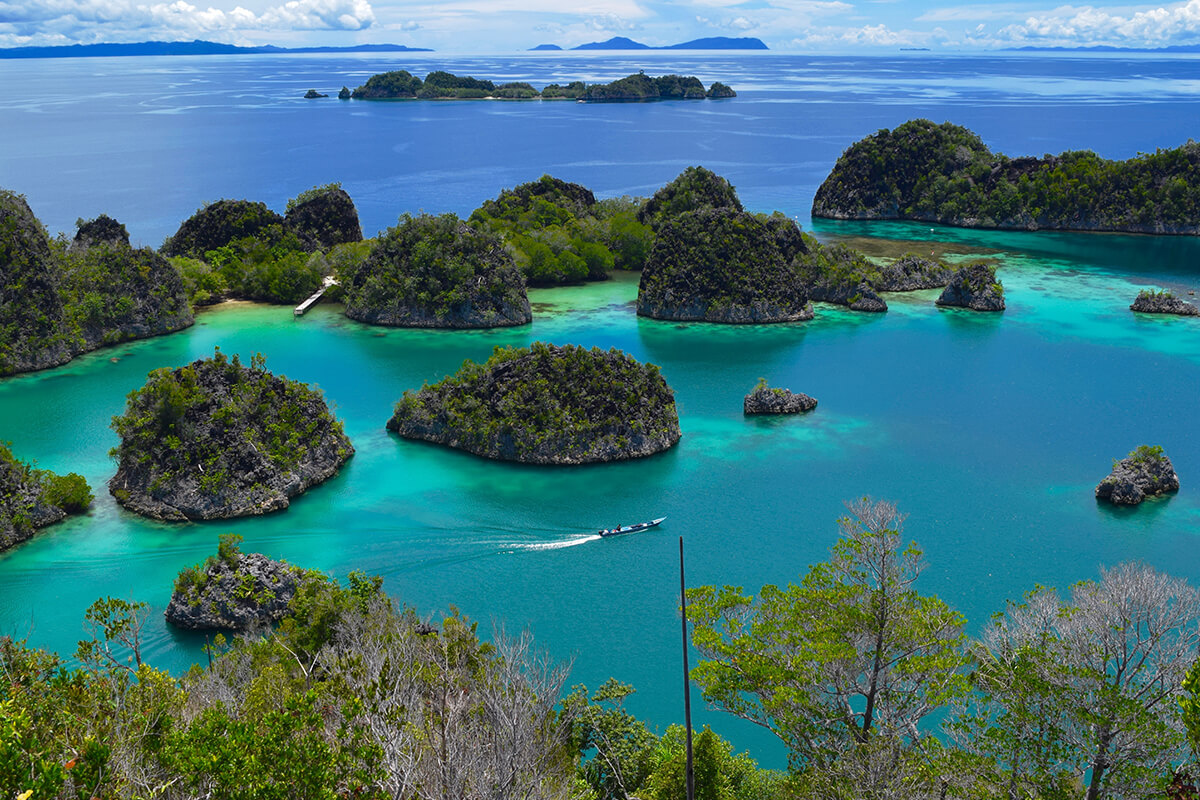 Do not miss these PIECES OF PARADISE at the Incredible RAJA AMPAT ISLANDS