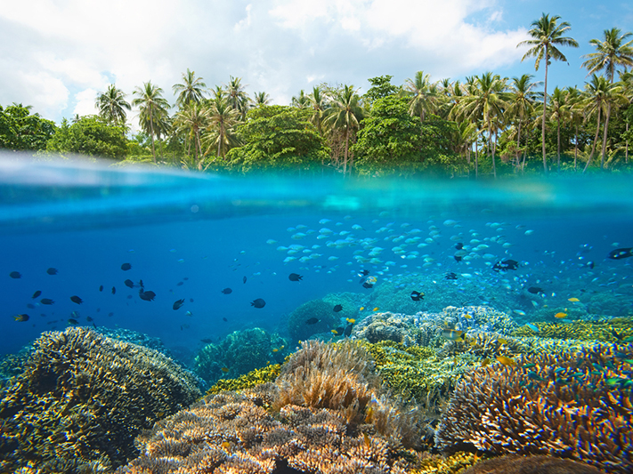 Taka Bonerate National Park: A Stunning Marine Haven - Indonesia Travel