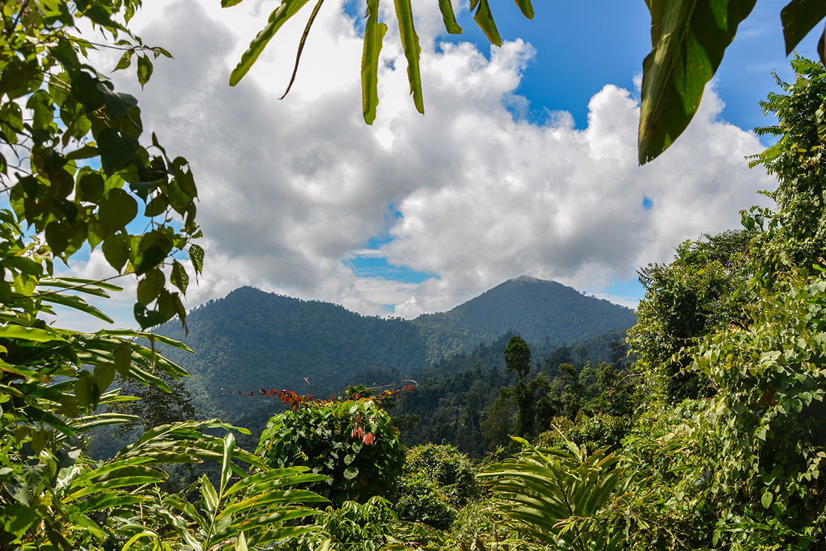 Pemandangan alam di Bukit Biru