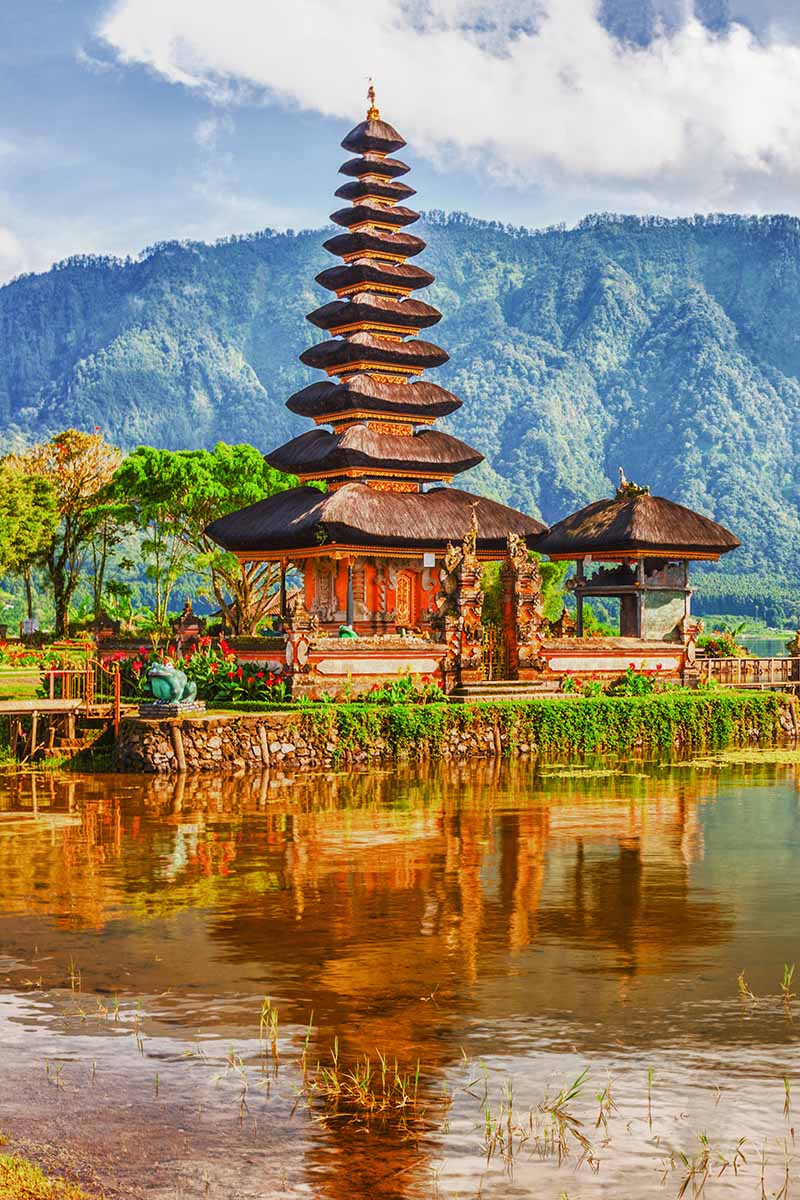 7 идей для поездки на север Бали!