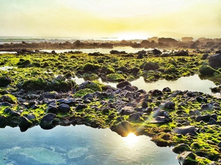 Banyuwangi’s 7 Hidden Beaches that leave you Awestruck