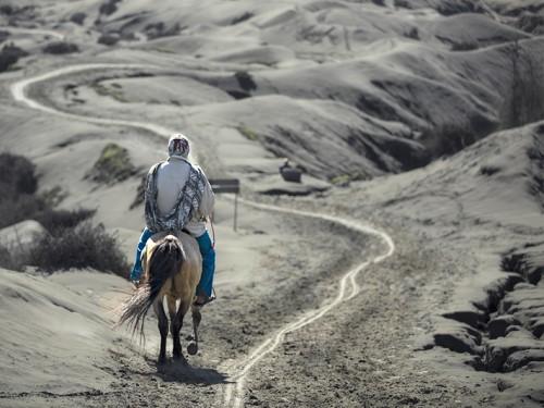 Bromo Huge Adventures: Cool Things to Do around BROMO VOLCANO