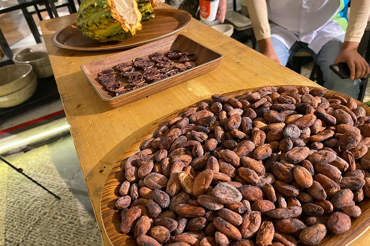 5 Fakta Kampung Merasa 74%, Cokelat Organik Asal Kalimantan Timur yang Unik