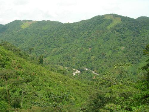 Kiram Park, Wisata Alam Asri di Banjar, Kalimantan Selatan