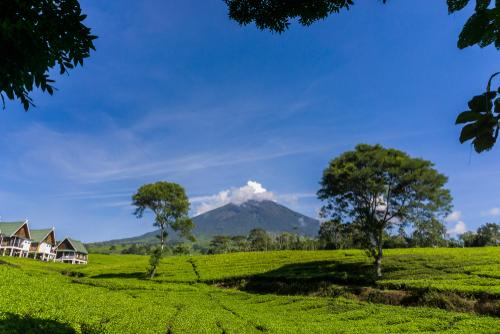 Gunung Dempo dan Pemandangan Menakjubkan di Sumatra Selatan
