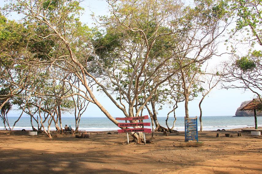 Grajagan Beach