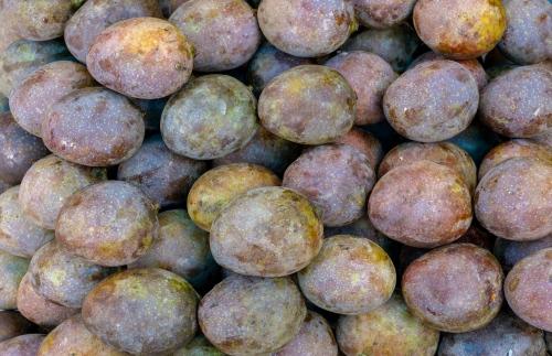 Mangga Kasturi