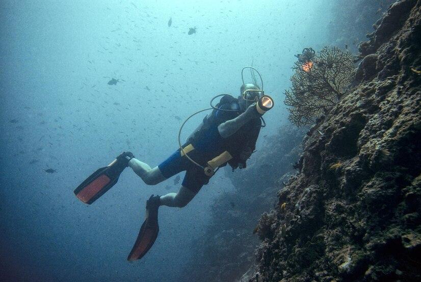 Bunaken, Feel the Glimpse of Sea Life in the Majestic Seagarden