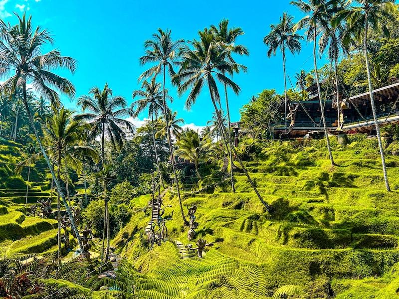 Ceking Rice Terrace