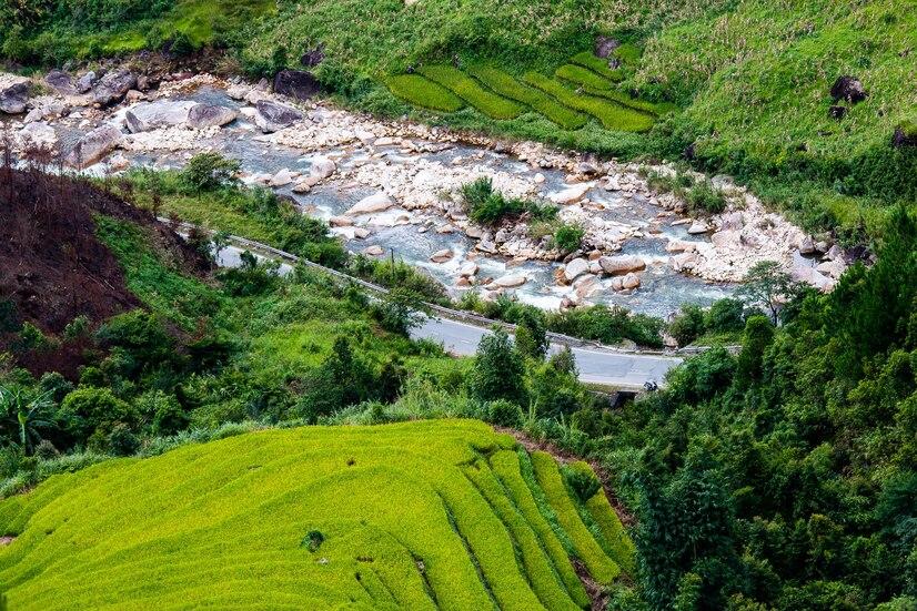 Sungai Ayung