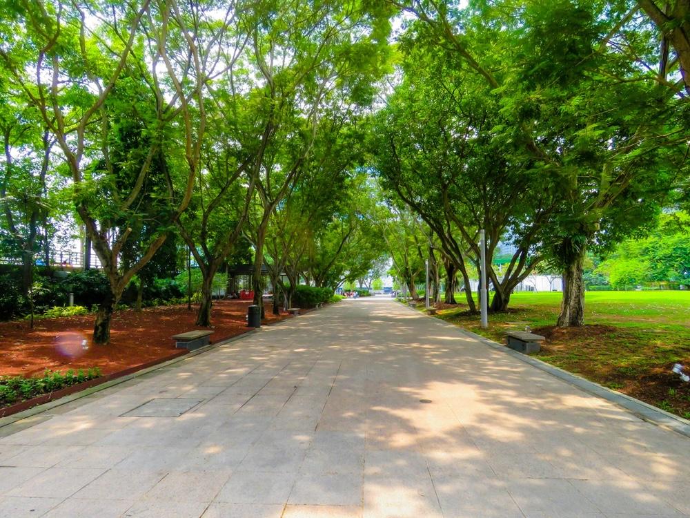 Taman Akcaya Pontianak: Ruang Hijau Nyaman di Tengah Kota
