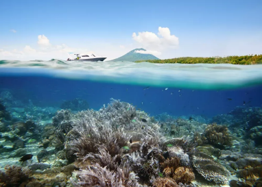 Best Places to Visit in North Sulawesi