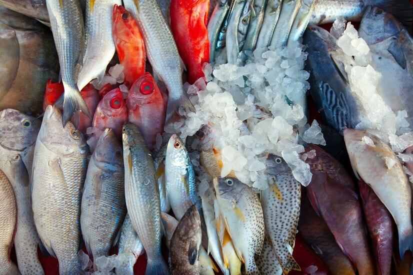 Ikan Bakar Terminal, Ternate