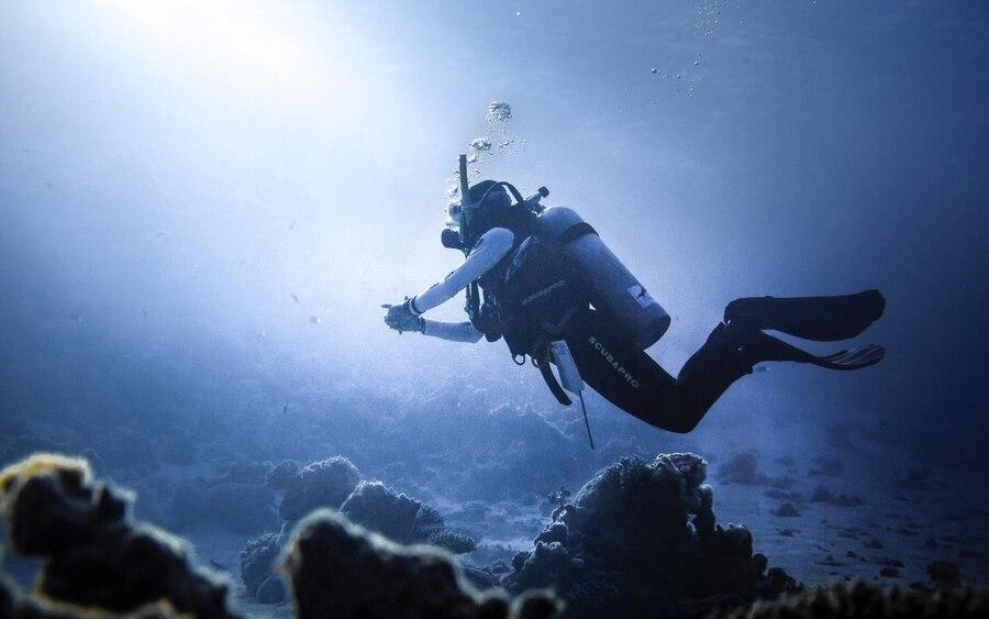 Diving Taisei