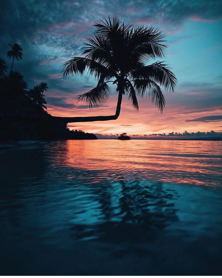 Trip of Wonders: Raja Ampat the Heavenly Paradise
