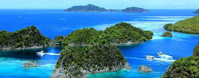 Background image for cruise banner mobile
