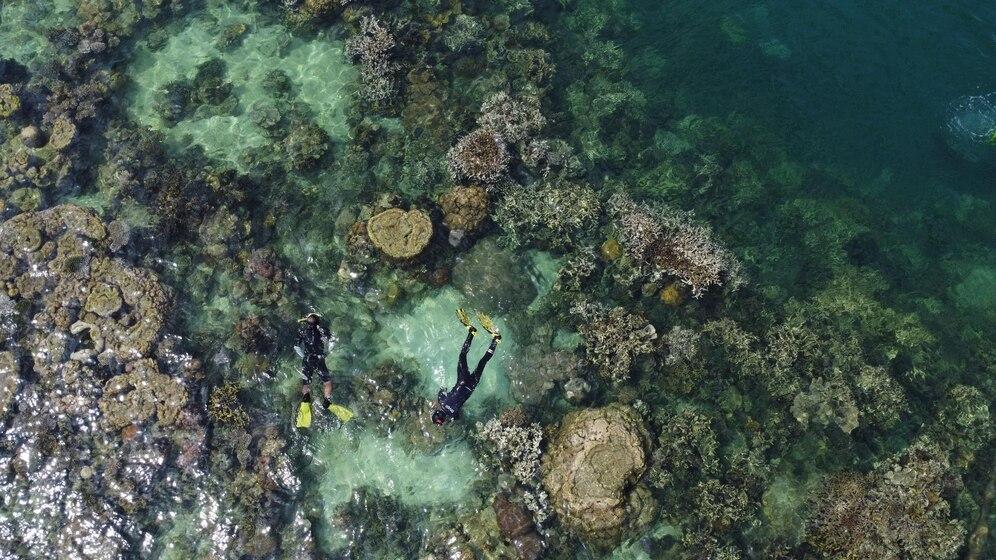 Snorkeling Lembeh Strait