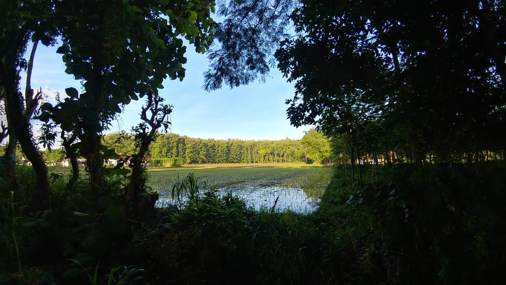 Taman Albasia: Oase Hijau di Kalimantan Selatan