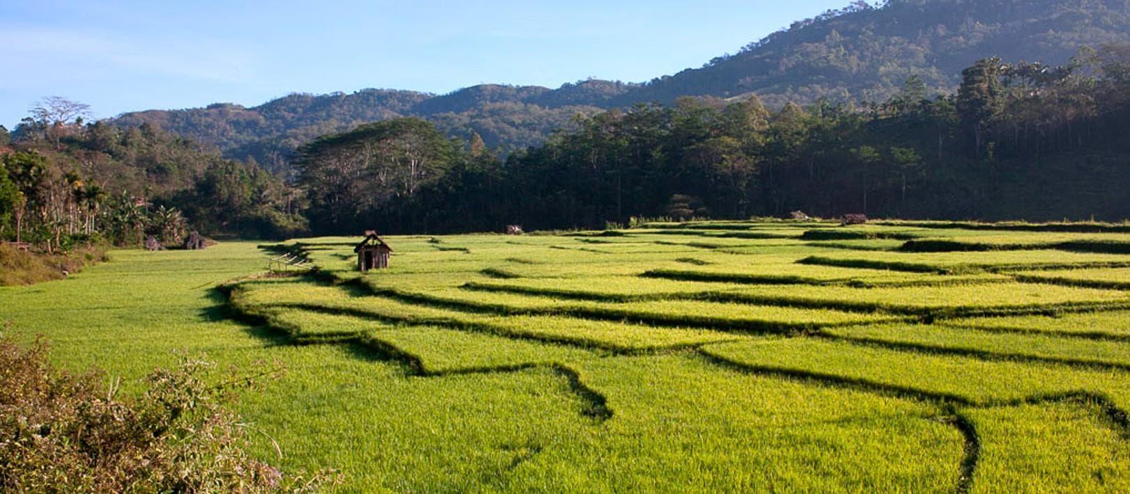 Homestays on Fascinating Flores, Sumba and Timor Island