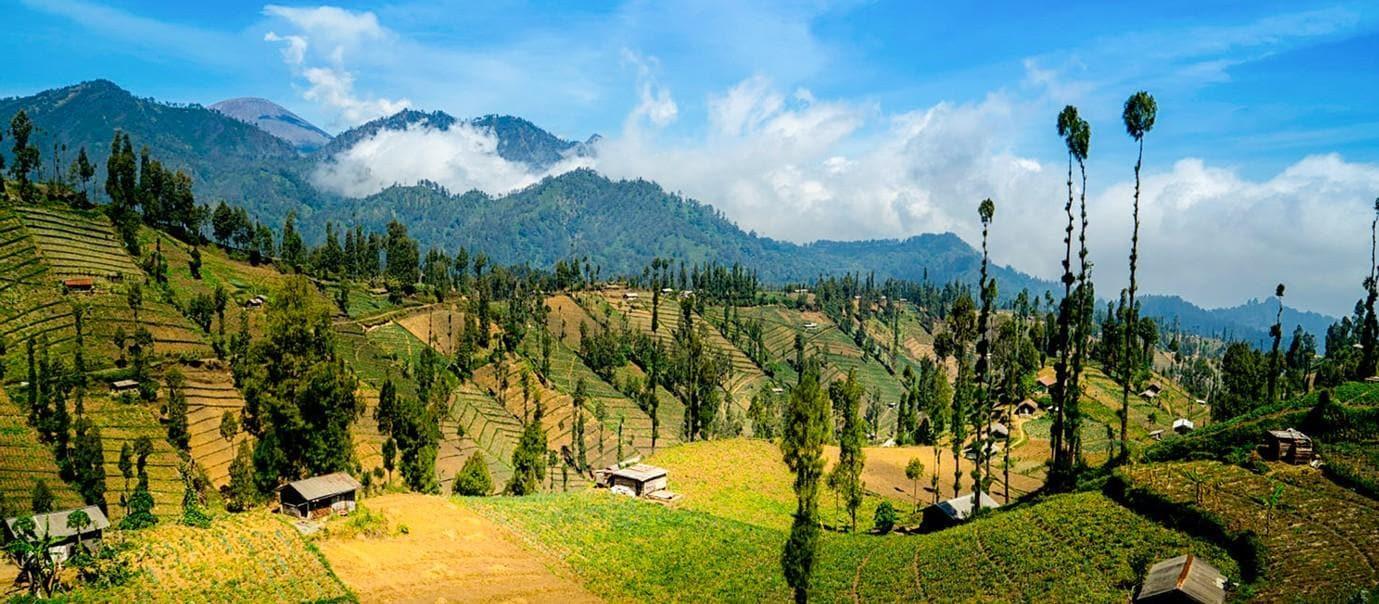 hero image for travel ideas detail