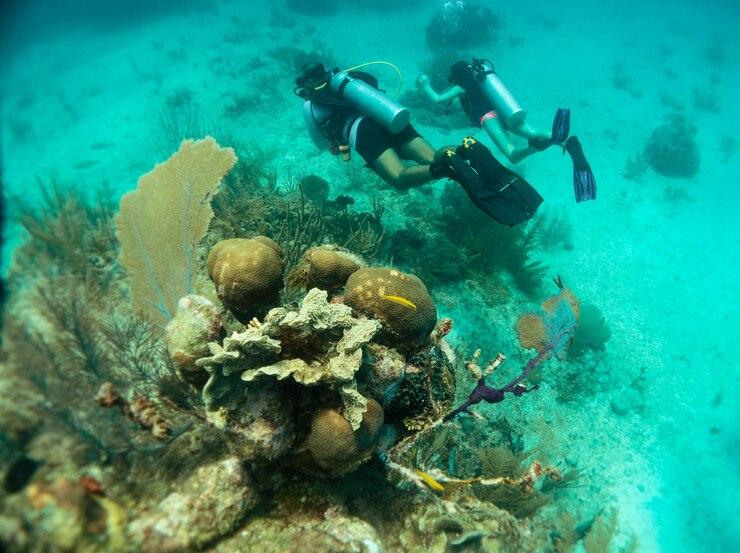 Diving Amed