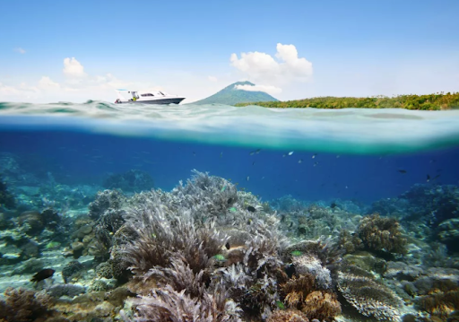 Visit Manado