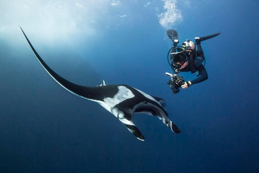 Diving Ambon Bay
