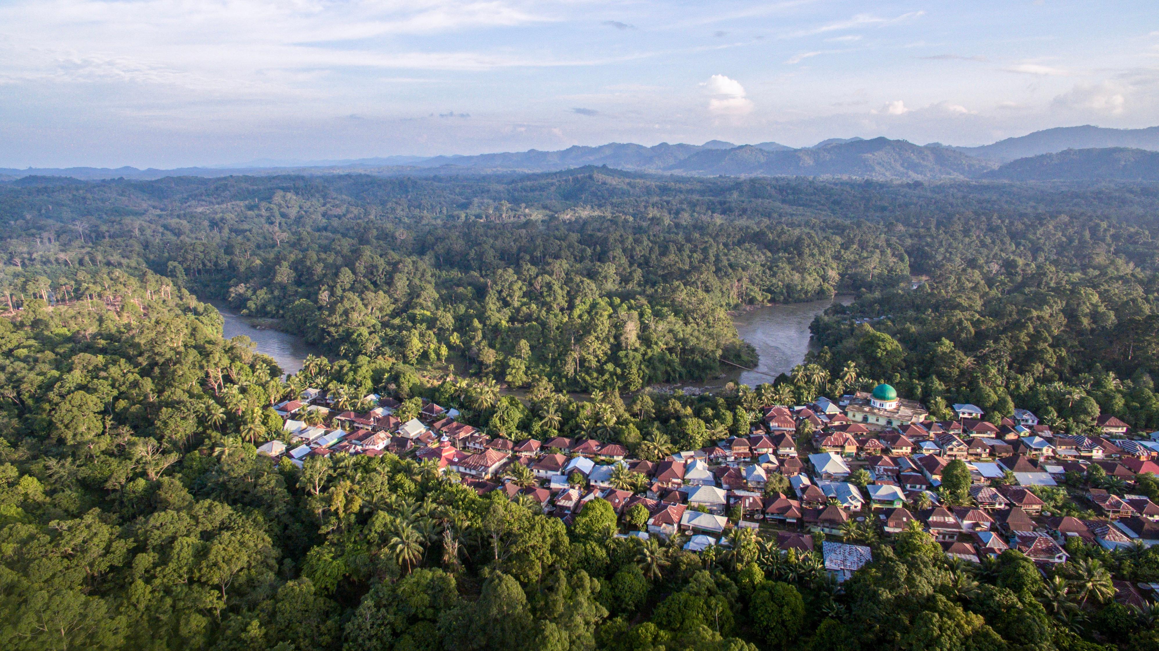 Sembilang National Park