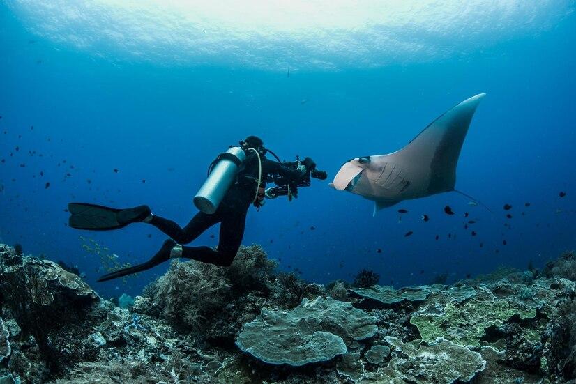 Diving Manado Bay