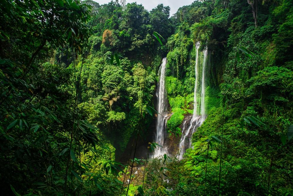 Air Terjun Sekumpul dan Daya Tariknya yang Cantik di Bali