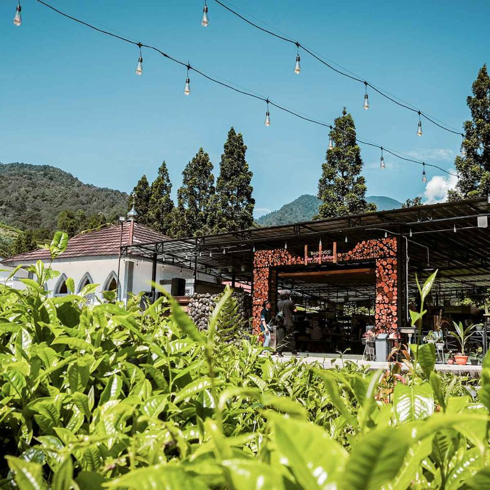 hero image for travel ideas detail