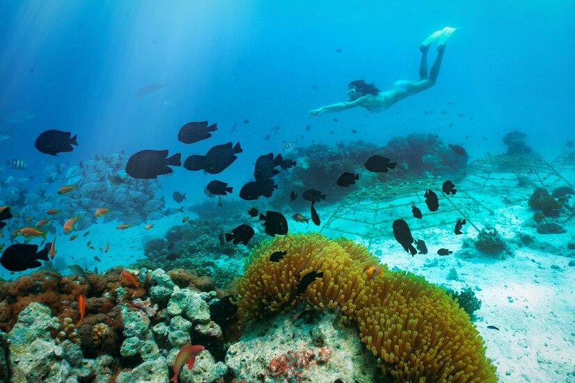Snorkeling Tulamben
