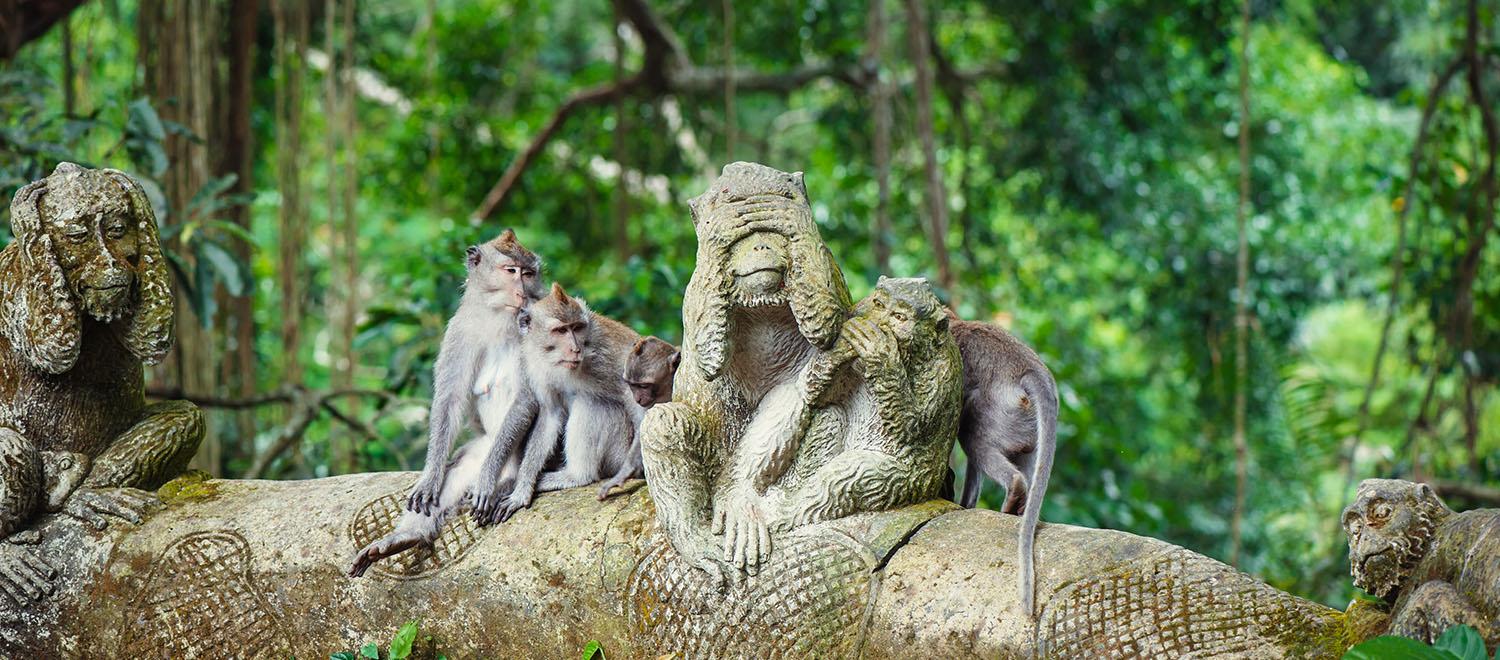 Ubud Monkey Forest, the Natural and Sacred Site