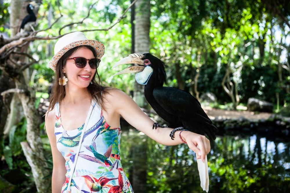 Bali Bird Park