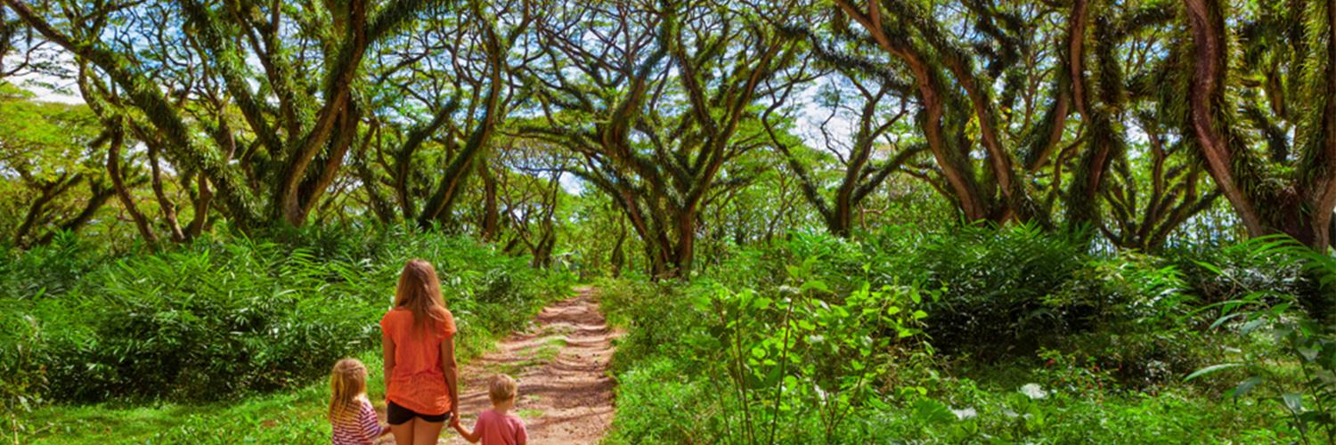 hero image for travel ideas detail
