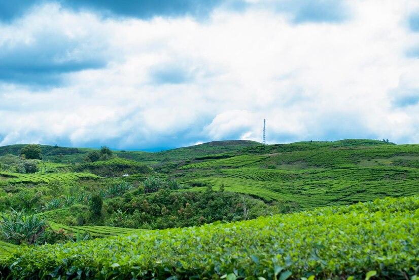 Gunung Kerinci