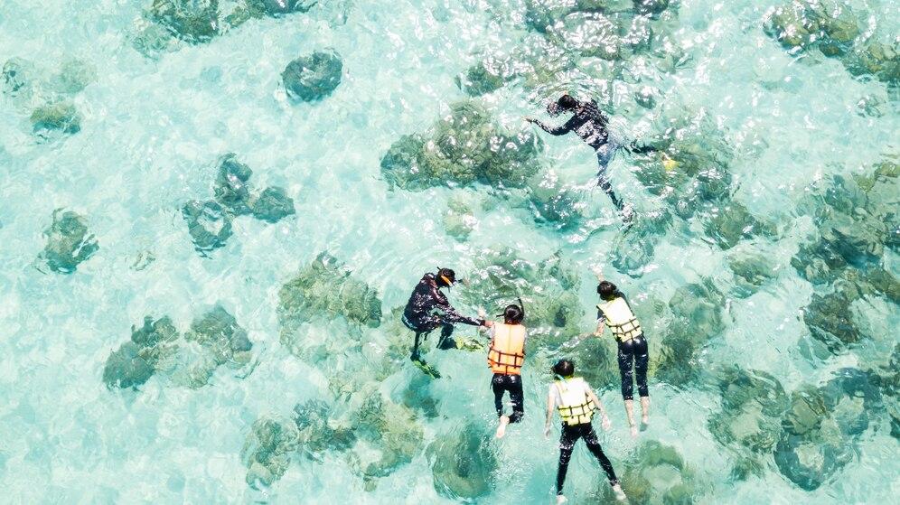 Snorkeling Bunaken National Park
