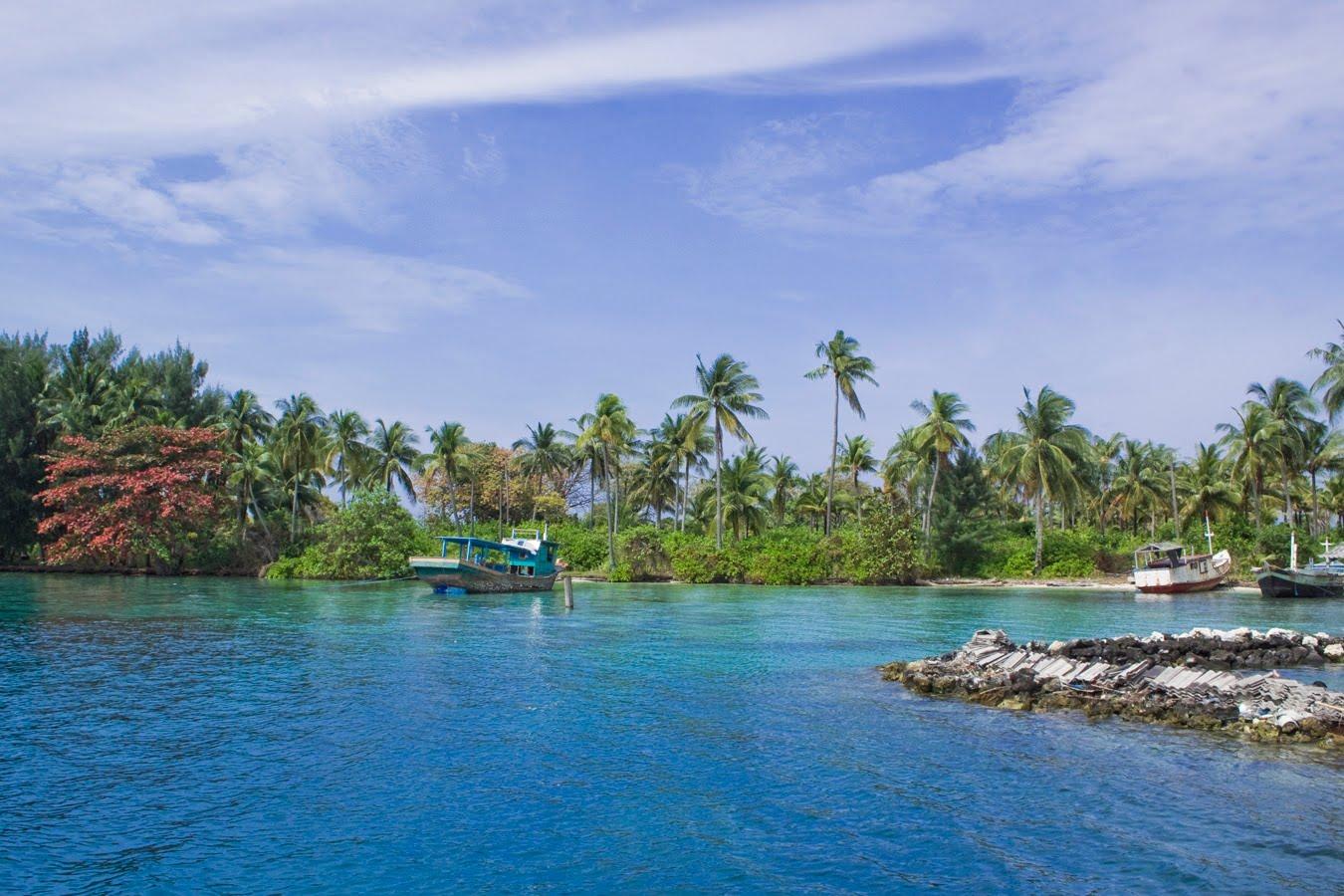 Menjangan Island: West Bali's Best Kept Secret Dive Site