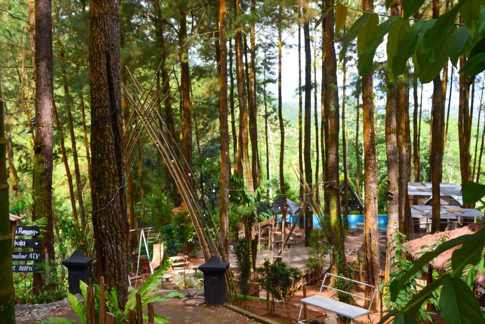 Hutan Kota Pekanbaru: Wisata Hijau di Tengah Kota