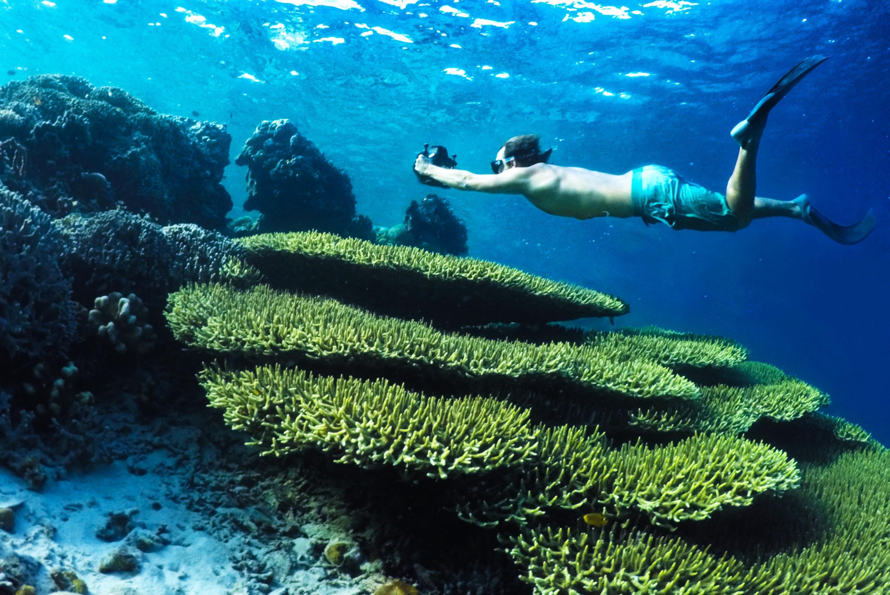 hero image for travel ideas detail