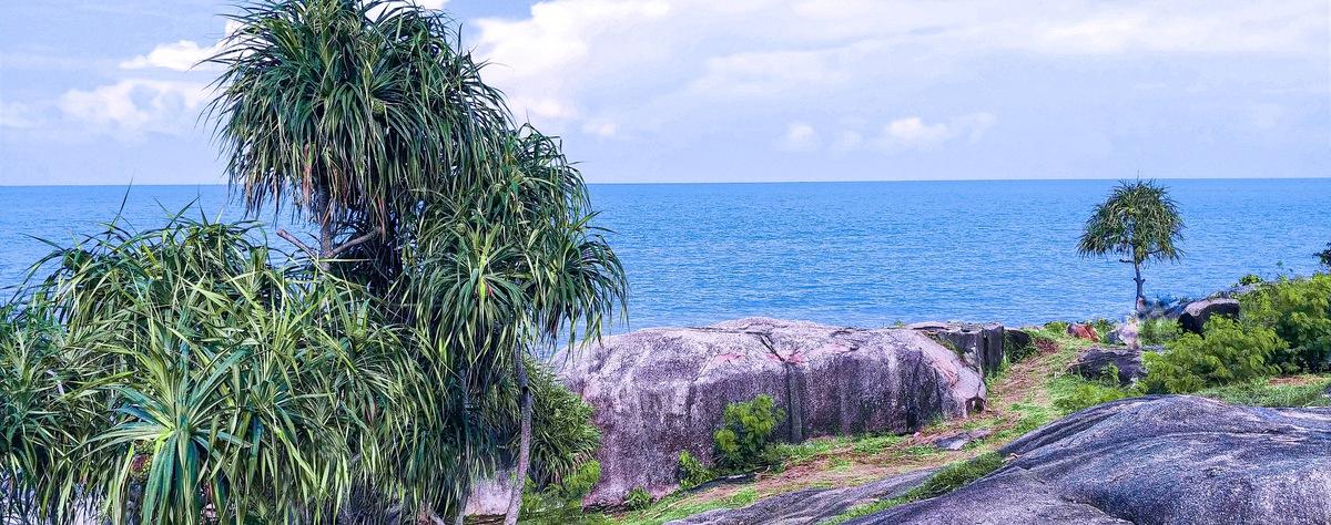 Pulau Tikus