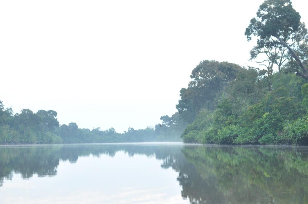 Taman Nasional Gunung Palung