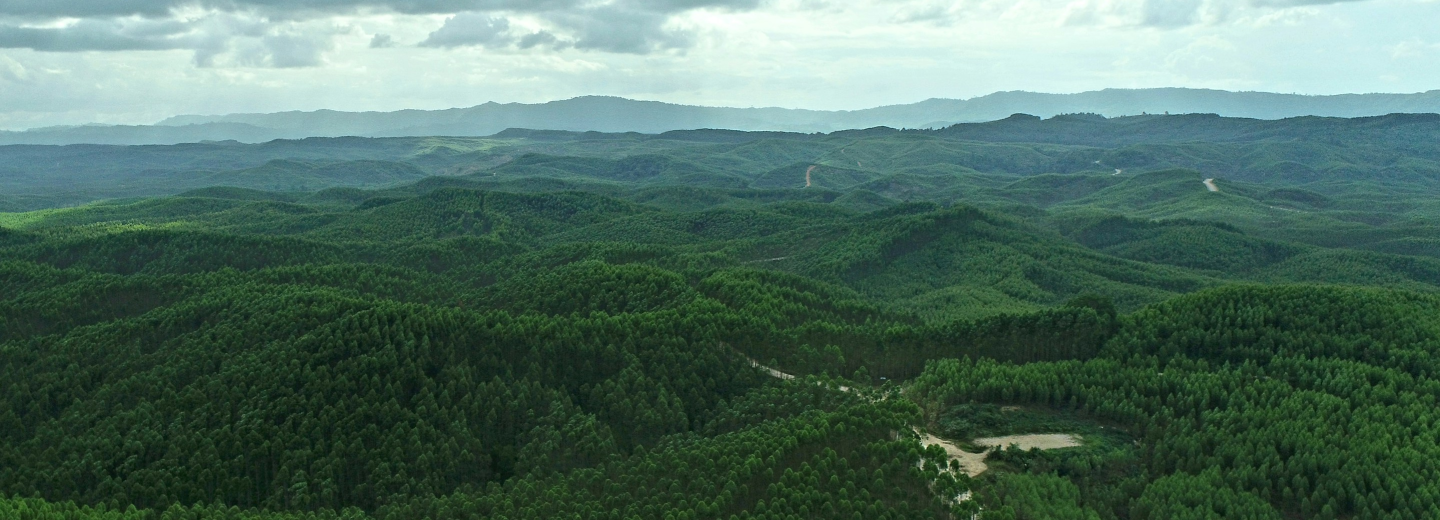 Kalimantan