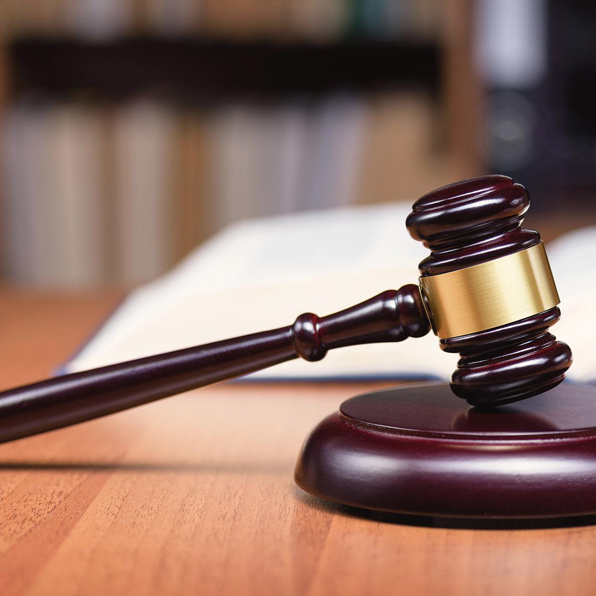 World's Rare White Rhino Born at Bali Safari Park