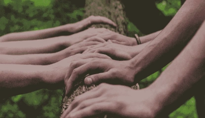 Partnerschaftsmöglichkeit